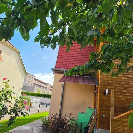Maison Avec Jardin Et Parking Prive - Proche Centre Lejlighed