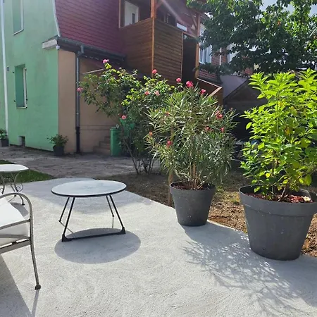 Maison Avec Jardin Et Parking Prive - Proche Centre Apartment Colmar